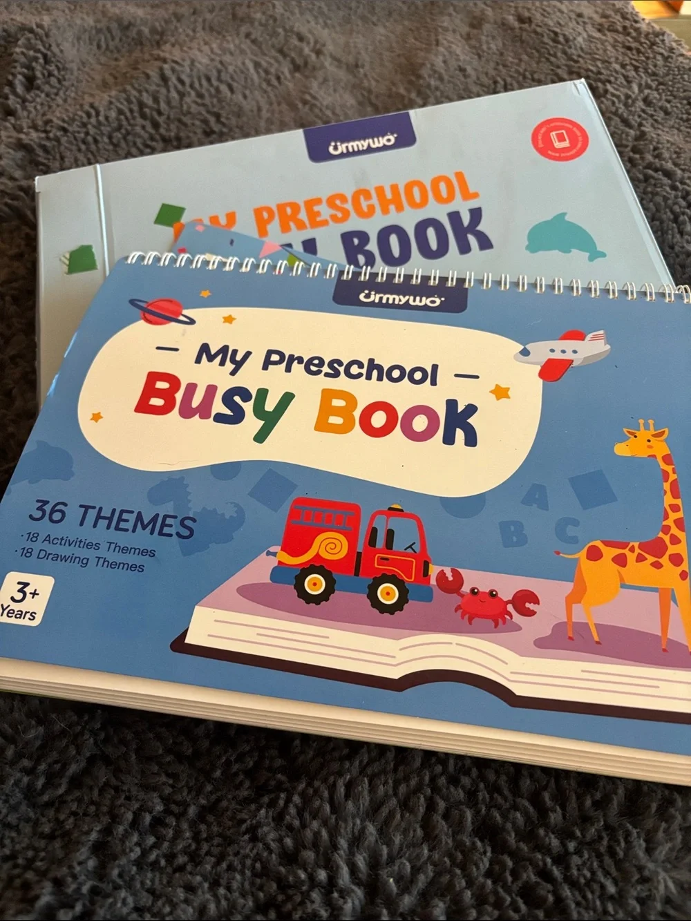 My Preschool Busy Book